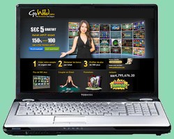 Casino Go Wild