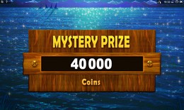 Vous avez choisi d'&eacute;changer vos gains contre un prix myst&egrave;re, et gagnez 40000 pi&egrave;ces !